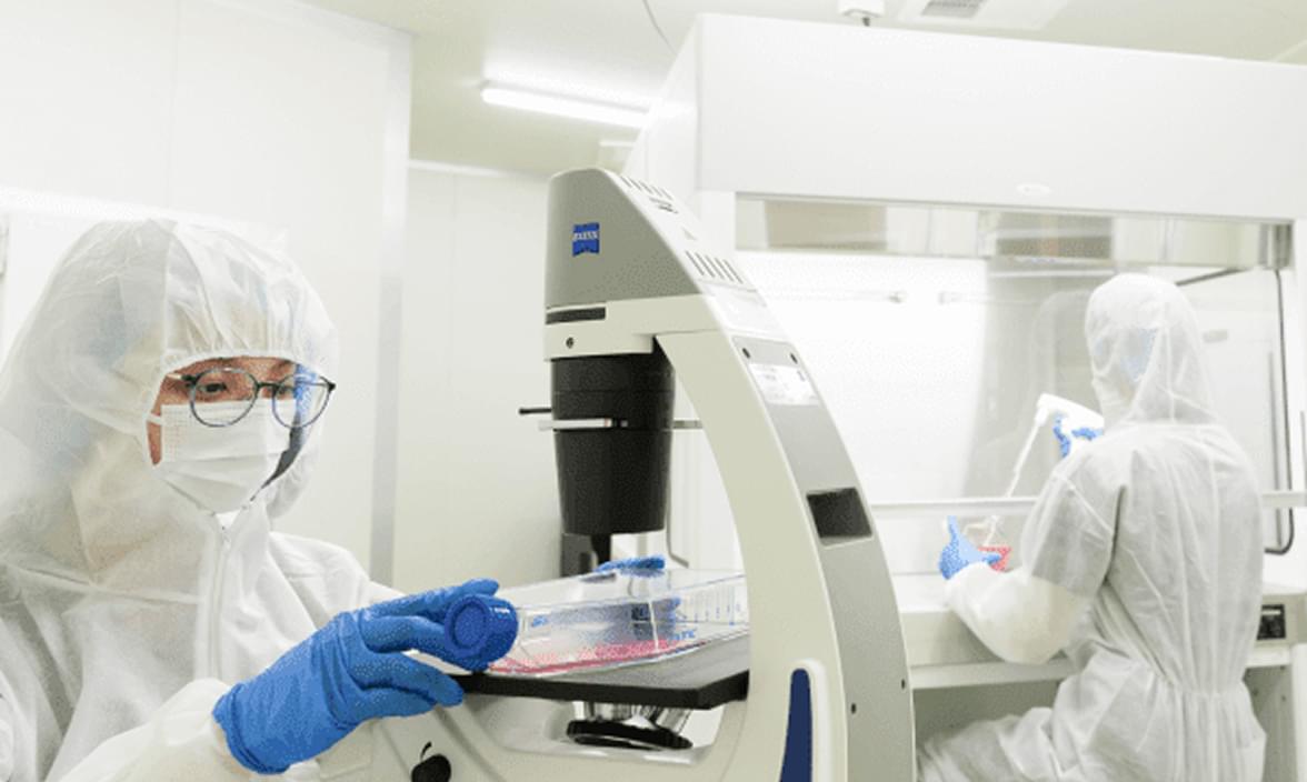 自己治癒能力を使って改善に導く再生医療のいま